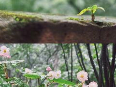 -国家植物园