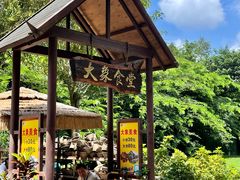 -野象谷景区