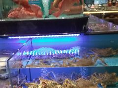 -阿伟海鲜楼·福建菜(延寿店)