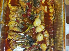 -鱼酷活鱼烤鱼(恒隆广场店)