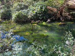 -湖洞水自然风景区