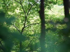 -杭州黄龙洞