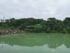 -铁山坪森林公园