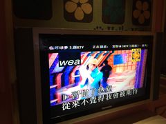 郑秀文-宠物-环球梦主题KTV(曲阳生活购物中心店)