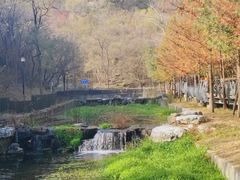 -白水寺森林公园