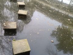 -三圣花乡旅游区