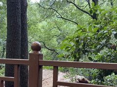 -巴倒烫陆派火锅山庄(南山总店)