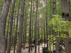 -青岛海滨风景区