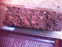 -米莎贝尔生日蛋糕(长征街店)