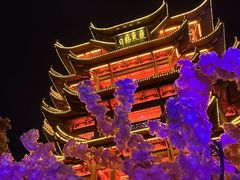 -黄鹤楼公园(黄鹤楼)