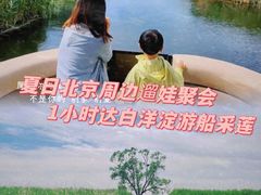 -白洋淀景区