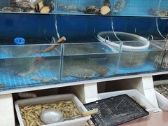 -宾朋海鲜饭庄(兴海路店)