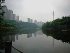 -重庆彩云湖湿地公园
