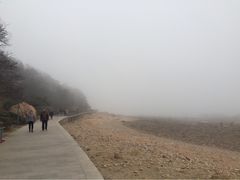 iphone_upload_pic-八大关景区