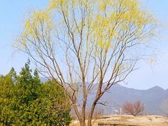-白水寺森林公园