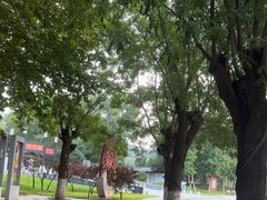 -河北省园博园