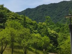 -斯瑞特国际酒店
