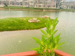 -大连理工大学(凌水校区)