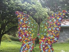 -松山湖南湖湾露营营地