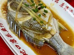 -蛇口康乐快餐鱼仔档(翠苑小区店)