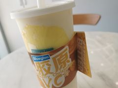 -Blueglass酸奶(上生新所店)