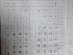 -赵汝飞练字硬笔书法(航头校区)