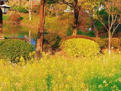 -福州大学(旗山校区)