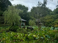 -龙井草堂
