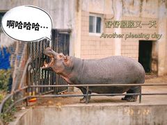 -合肥野生动物园