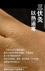 -薇薇安花系SPA