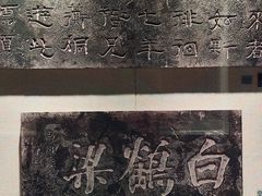 -白鹤梁水下博物馆
