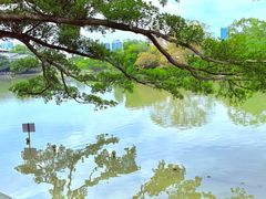 -江心屿景区