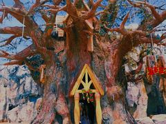 -青岛方特梦幻王国