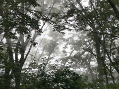 -庐山风景名胜区