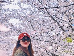 -高东镇樱花园