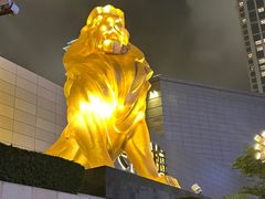 -影汇之星8字形摩天轮