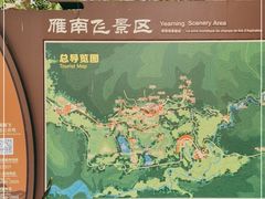 -雁南飞茶田景区