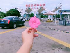 -碧海金沙