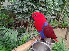 -南宫五洲植物乐园