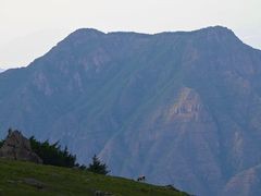 -灵山