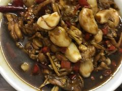 青蛙-铁头烧菜馆(立新路店)