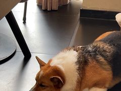 -简象咖啡CAFE ELE JANE(满陇桂雨店)