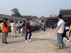 -苏州市吴中区光福窑上花果蜜饯厂