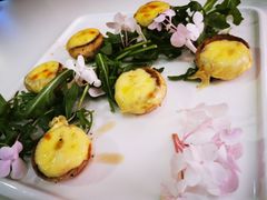 -百好乐宠物友好餐厅(朝外大街店)