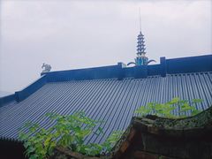 -龙泉洞(沙坪坝区)