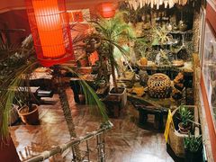 -大匠工房古船木艺术餐厅·猪肚鸡专门店(长白仙岛店)