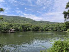 -紫霞湖公园