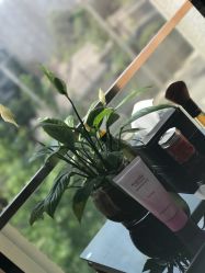 -TRIMS HAIR 修剪造型·烫染接发