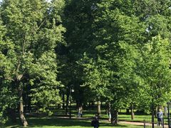 景点-滴血救世主教堂