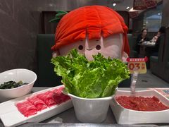 -海底捞火锅(龙岗星河COCO Park店)